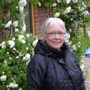Hilda Groeneveld: De Mulla en de Scarabee