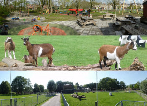 Schaapscheerdersfeest 2018